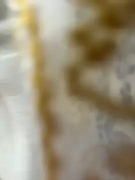 Snapshot of HoneyBearCpl chatting on October 29, 2025, 3:33 pm HoneyBearCpl online show from October 29, 2025, 3:33 pm