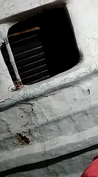 Roni1028 online show from December 15, 2024, 11:45 am