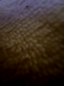 houy111111 online show from February 3, 2026, 5:51 pm