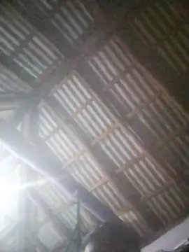 Snapshot of Feli230990 chatting on April 8, 2026, 5:20 am Feli230990 online show from April 8, 2026, 5:20 am