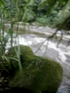 adam-rivera online show from November 17, 2025, 8:35 pm