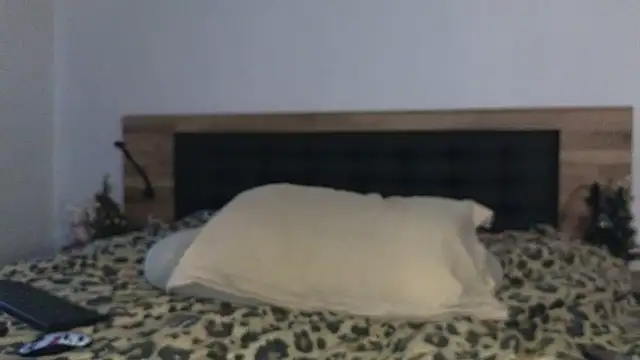 Snapshot of vera_jim chatting on December 19, 2025, 8:27 am vera jim online show from December 19, 2025, 8:27 am