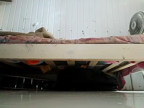 Snapshot of frotasso chatting on February 13, 2026, 11:05 pm frotasso online show from February 13, 2026, 11:05 pm