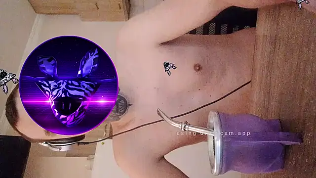 HappyZebra13 online show from February 12, 2025, 12:55 pm