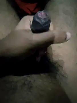 Snapshot of kamesh_telugu chatting on October 29, 2025, 4:06 pm kamesh telugu online show from October 29, 2025, 4:06 pm