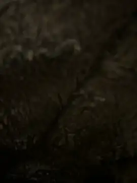 hamoo23p online show from February 22, 2026, 2:47 am