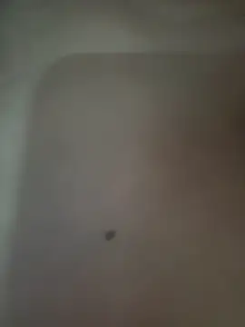 Akhi Akshaya online show from January 6, 2025, 5:38 pm