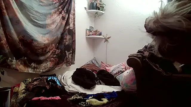 SilverandFox online show from November 18, 2025, 12:19 pm