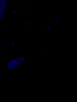 Amadass90 online show from February 11, 2025, 7:16 pm