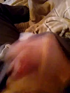 MaxiFabry online show from October 20, 2025, 7:47 pm