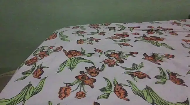 Snapshot of mlkpiranho25 chatting on January 30, 2025, 3:40 pm mlkpiranho25 online show from January 30, 2025, 3:40 pm