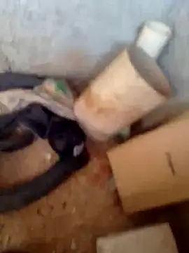 Snapshot of mlkpiranho25 chatting on October 1, 2025, 3:49 pm mlkpiranho25 online show from October 1, 2025, 3:49 pm