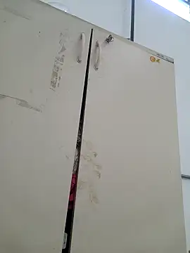 tesaodaweb online show from February 17, 2026, 10:45 am