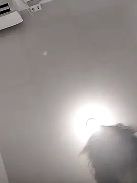 gatinhahot online show from January 13, 2025, 1:45 am