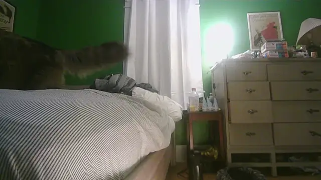 SadCatDaddy online show from February 15, 2026, 11:31 am