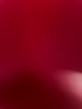 elflalope online show from November 3, 2025, 8:12 pm