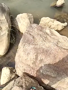 aryan 8051 online show from October 28, 2025, 7:18 am