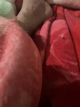 dinom online show from January 6, 2025, 10:05 pm