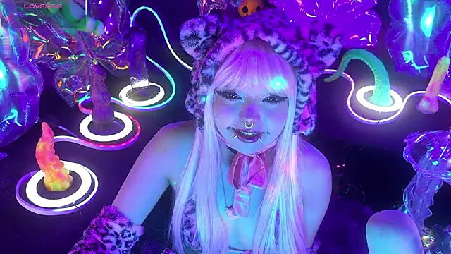 LaytonBox online show from March 24, 2026, 2:17 pm