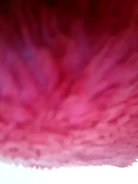 Samara-Bella online show from January 6, 2026, 5:22 am