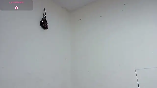 boysLittle online show from February 7, 2026, 10:45 am