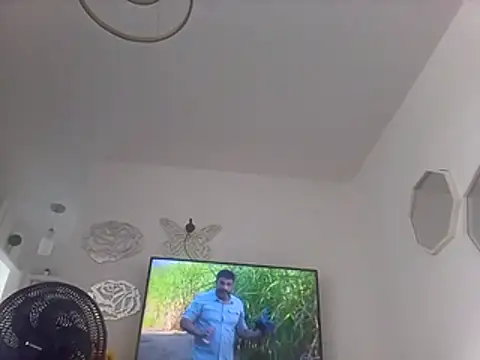 Munnoki online show from July 19, 2026, 12:24 pm