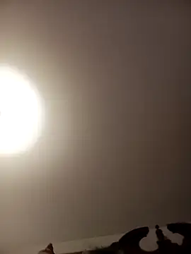 Snapshot of sofia6161 chatting on January 18, 2025, 7:59 am sofia6161 online show from January 18, 2025, 7:59 am