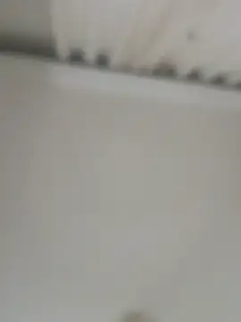 jacaranduba07 online show from February 27, 2025, 8:24 am