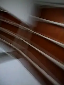 Josejotacamargo online show from March 4, 2025, 2:53 pm