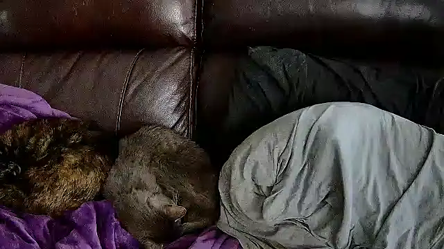 StonerPrincessGenie online show from March 6, 2025, 8:37 pm