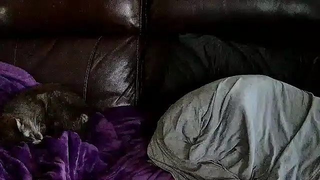 StonerPrincessGenie online show from March 6, 2025, 5:33 pm