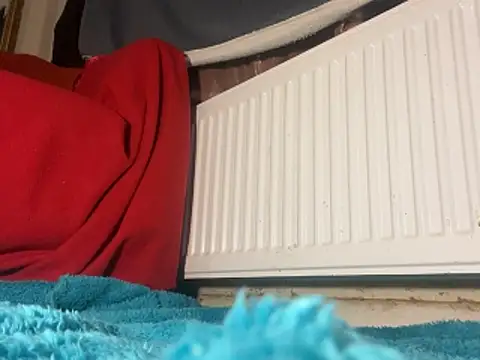 iccmananal online show from December 23, 2025, 2:44 am