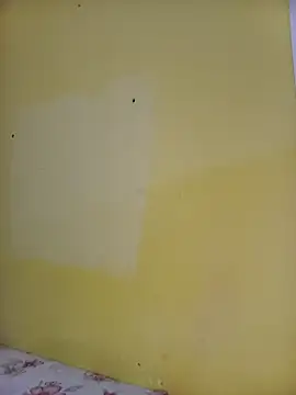 Snapshot of Alyne69PB chatting on March 16, 2025, 9:47 pm Alyne69PB online show from March 16, 2025, 9:47 pm