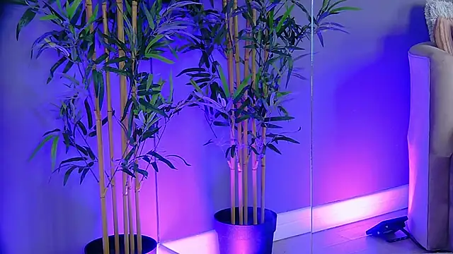 PatriciaSpice online show from November 13, 2025, 5:22 am