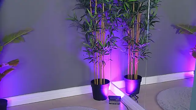 PatriciaSpice online show from October 8, 2025, 4:14 am