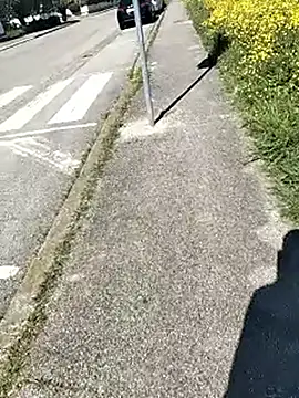 arveia online show from April 4, 2026, 1:06 pm