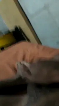 Jxffffv online show from February 24, 2025, 12:20 am