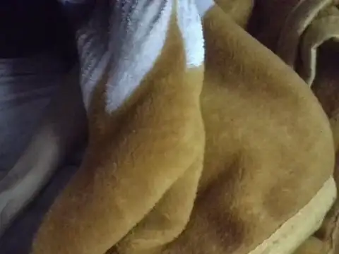 Snapshot of AKANSHA_7 chatting on December 1, 2025, 3:02 pm AKANSHA 7 online show from December 1, 2025, 3:02 pm