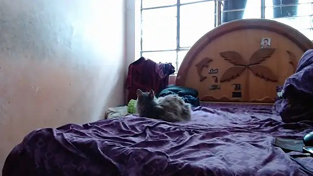 nakedlima online show from October 15, 2025, 5:21 pm