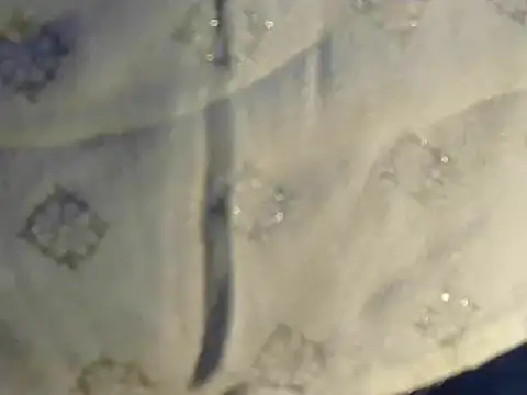 Cutie Pie1p online show from March 19, 2025, 8:45 am