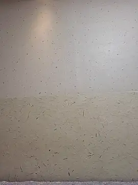 Snapshot of Tyyyggjju chatting on October 20, 2025, 7:03 pm Tyyyggjju online show from October 20, 2025, 7:03 pm