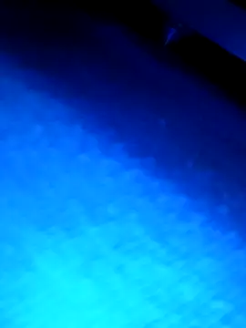 wadmma online show from March 13, 2026, 3:22 am