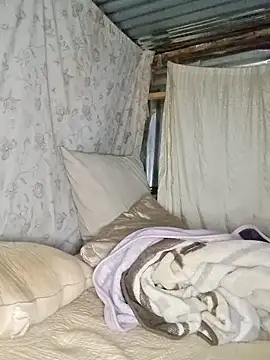 Velvet69 online show from November 25, 2025, 11:16 pm