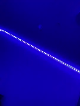 DaniJohnson online show from February 7, 2025, 3:19 pm