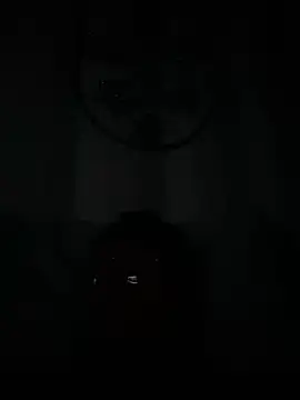 Snapshot of Jamesdeanmcqueen chatting on January 29, 2025, 11:56 pm Jamesdeanmcqueen online show from January 29, 2025, 11:56 pm