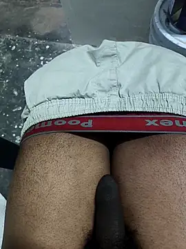 Snapshot of omni_333 chatting on February 11, 2026, 12:38 pm omni 333 online show from February 11, 2026, 12:38 pm