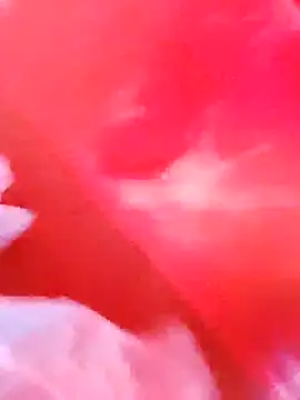 dominationmybigdick online show from December 3, 2025, 9:53 am