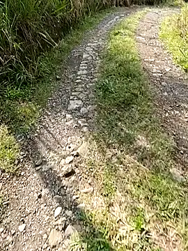 Dracoandr online show from February 6, 2025, 1:32 pm