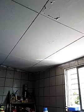 xdandan69 online show from February 13, 2025, 4:39 pm