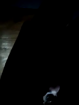 GsSpot69 online show from October 25, 2025, 6:34 am